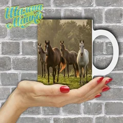 лошадь, конь, horse